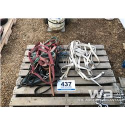 LEATHER & NYLON HALTERS & SHOW HALTERS