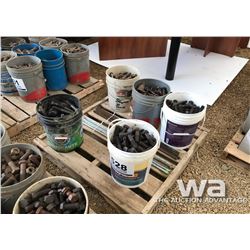 PAILS OF NUTS & BOLTS