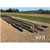 Image 1 : (17) HYDRO POLES