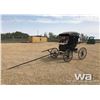 Image 1 : DOCTOR'S BUGGY