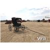 Image 2 : DOCTOR'S BUGGY