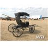 Image 3 : DOCTOR'S BUGGY