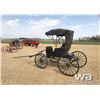 Image 4 : DOCTOR'S BUGGY