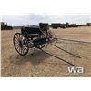 Image 2 : BLACK SHOW CART