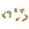 Image 1 : Lot of Gold Nuggets 2.6 grams Total Weight