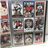 Image 9 : Goalie Collectoin (126 Cards)