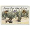 Image 1 : AMERICAN BISON NICKEL COLLECTION COLORIZED,
