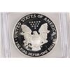 Image 2 : 2001-W AMERICAN SILVER EAGLE ICG PR69 DCAM