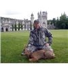 Image 1 : Scotland Royal Estate Roe Deer Hunt