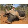 Image 2 : Seven Day Cape Buffalo Hunt for One Hunter and One Observer