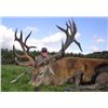Image 1 : Scotland Red Stag Hunt