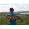 Image 3 : Cheyenne Ridge All-Inclusive Guided Fishing Trip for Two Anglers