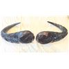 Image 1 : Carved African Cape Buffalo Horns