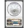 Image 2 : 2013 $1 American Silver Eagle NGC MS70 Early Releases