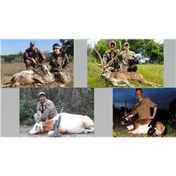 Hunt Package ­ Trophy Exotics Hunt in TX Sponsored by: L&L Adventures