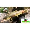 Image 1 : Trip Package - Fly Fishing Trip with Dinner Sponsored by: Durangler’s & Gazpacho