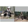 Image 1 : Hunt Package - Black Bear and Wolf hunt in Canada Sponsored by: Silver Fox Outfitters