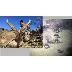 Hunt Package - Beceite Ibex Spain Sponsored by: Corju Hunting