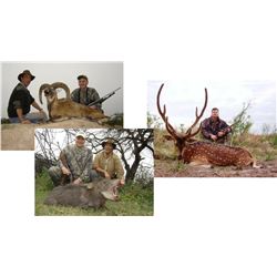 Hunt Package - Argentina Big Game Hunt Sponsored by: Anuritay Ranch