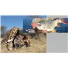 Image 1 : Hunt Package - Giraffe & Tiger Fish Adventure Sponsored by: Eldoret Safaris