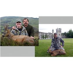 Hunt Package - Roe Deer Hunt in Scotland Sponsored by: European Hunting Adventures