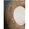 Image 2 : Old Ferry Sask Life Buoy Cork Filled "RARE"