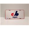 Image 1 : Montreal Expo License Plate