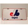 Image 2 : Montreal Expo License Plate