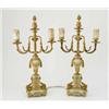 Image 1 : A pair of 19th century French neoclassical design 2-branch candelabra, the arms cast with ormolu...
