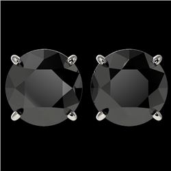 4 CTW Fancy Black VS Diamond Solitaire Stud Earrings 10K White Gold - REF-79M9H - 33134