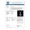 Image 3 : 0.82 CTW Fancy Intense Blue Diamond Solitaire Art Deco Necklace 18K White Gold - REF-103W6F - 37803