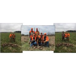 Cast and Blast Lodge Mallard/Pheasant Hunt Ohio