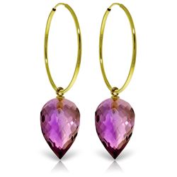 Genuine 19 ctw Amethyst Earrings Jewelry 14KT Yellow Gold - REF-38M6T