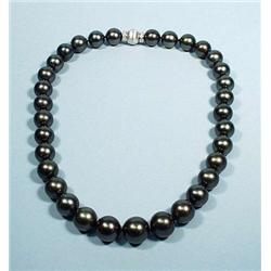 A very good quality Tahitian black pearl neck...