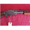 Image 10 : SAVAGE ARMS M29