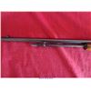 Image 13 : SAVAGE ARMS M29