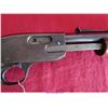 Image 17 : SAVAGE ARMS M29