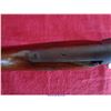 Image 19 : SAVAGE ARMS M29