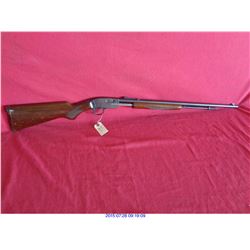 SAVAGE ARMS M29