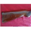 Image 9 : SAVAGE ARMS M29