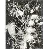 Image 1 : Roger Catherineau French 1925-1962 Photogram
