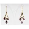 Image 2 : Freshwater Pearl Drop Style Earrings RV $800