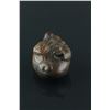 Image 3 : Japanese Boxwood Netsuke 19th C.