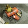 Image 2 : CM 1 Ton Chain Hoist, M/N: L1TON