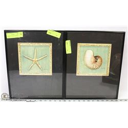 SEASHELL & STARFISH FRAMED PHOTOS.
