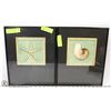 Image 1 : SEASHELL & STARFISH FRAMED PHOTOS.