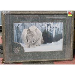 DOZING LYNX ARTWORK BY ROBERT