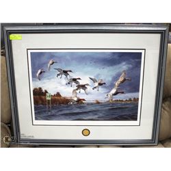 "CANVAS BACKS "DUCKS UNLIMITED FRAMED PRINT