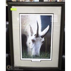 ROCKY MOUNTAIN EYE II, DUCKS UNLIMITED 2005 ARTIST