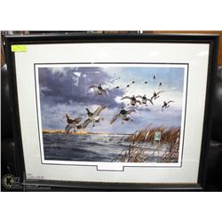 DUCKS UNLIMITED FRAMED BLUEBILLS  PRINT 34"X28"